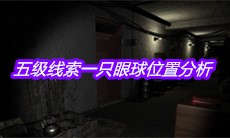 《孙美琪疑案周芳》五级线索一只眼球位置分析