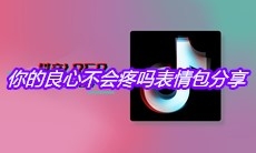 你的良心不会疼吗表情包分享