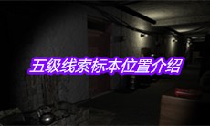 《孙美琪疑案周芳》五级线索标本位置介绍