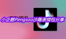 小企鹅Pengsoo沙雕表情包分享