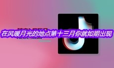 抖音在风暖月光的地点第十三月你就如期出现是什么歌