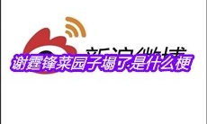 谢霆锋菜园子塌了是什么梗