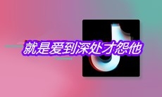 抖音就是爱到深处才怨他是什么歌