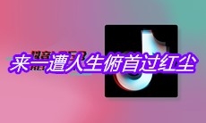 抖音来一遭人生俯首过红尘是什么歌