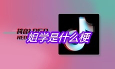 抖音姐学是什么梗