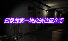 《孙美琪疑案周芳》四级线索一块皮肤位置介绍