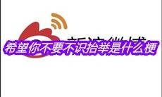 希望你不要不识抬举是什么梗