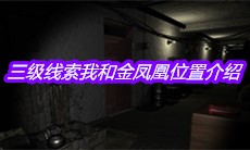 《孙美琪疑案周芳》三级线索我和金凤凰位置介绍