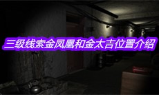 《孙美琪疑案周芳》三级线索金凤凰和金太吉位置介绍