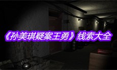 《孙美琪疑案王勇》线索大全