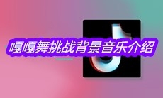 抖音嘎嘎舞挑战背景音乐介绍