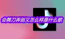 抖音会舞刀弄剑又怎么样是什么歌