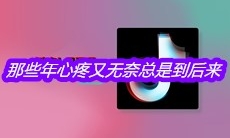 抖音那些年心疼又无奈总是到后来是什么歌