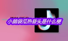 抖音小脑袋瓜热昏头是什么梗