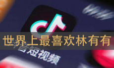 世界上最喜欢林有有是什么梗
