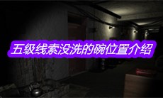 《孙美琪疑案王勇》五级线索没洗的碗位置介绍