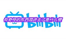 有奇怪的东西混进去了是什么梗