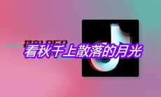 抖音看秋千上散落的月光是什么歌