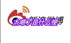 太嗯了是什么梗