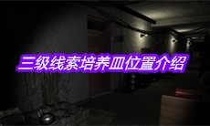 《孙美琪疑案王勇》三级线索培养皿位置介绍