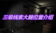 《孙美琪疑案王勇》三级线索大脑位置介绍