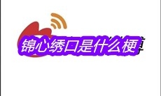 锦心绣口是什么梗