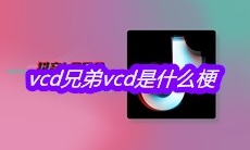 抖音vcd兄弟vcd是什么梗