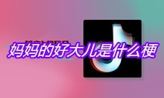 抖音妈妈的好大儿是什么梗