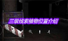 《孙美琪疑案兰芝》三级线索植物位置介绍