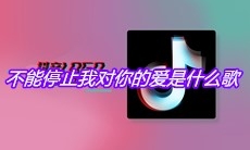抖音不能停止我对你的爱是什么歌