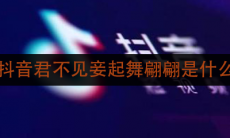 抖音君不见妾起舞翩翩是什么歌