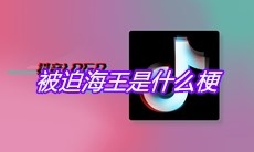 被迫海王是什么梗