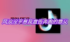 抖音风浪没平息我宣告奔跑的意义是什么歌