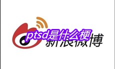 ptsd是什么梗