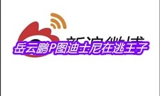 岳云鹏P图迪士尼在逃王子是什么梗