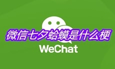 微信七夕蛤蟆是什么梗