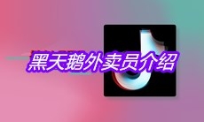 抖音黑天鹅外卖员介绍