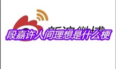 段嘉许人间理想是什么梗