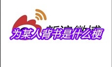 为某人背书是什么梗