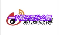 一个帽子是什么梗