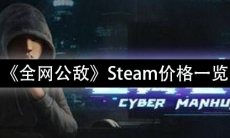 《全网公敌》新手指南steam售价一览