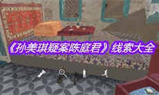 《孙美琪疑案陈庭君》线索大全