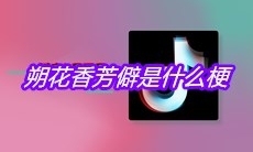 抖音朔花香芳僻是什么梗