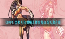 《DNF》2020金秋礼包增幅支援套装自选礼盒介绍