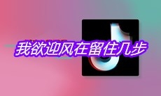 抖音我欲迎风在留住几步是什么歌