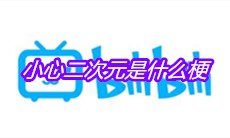 小心二次元是什么梗