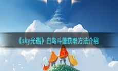 《sky光遇》白鸟斗篷获取方法介绍