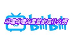 哔哩哔哩流量管家是什么梗