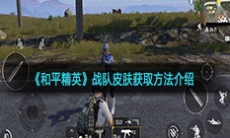 《和平精英》战队皮肤获取方法介绍