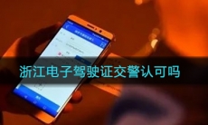 《浙江》电子驾驶证交警认可吗